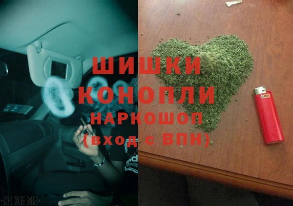 трава Сясьстрой